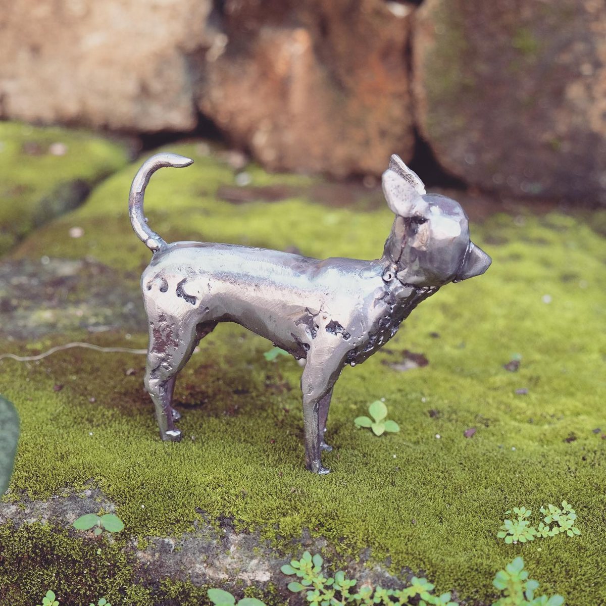 Escultura de Pedro Cuellar: perro chihuahua de metal plateado